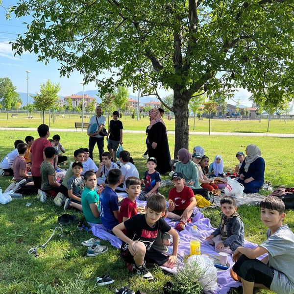 Summer course picnic program